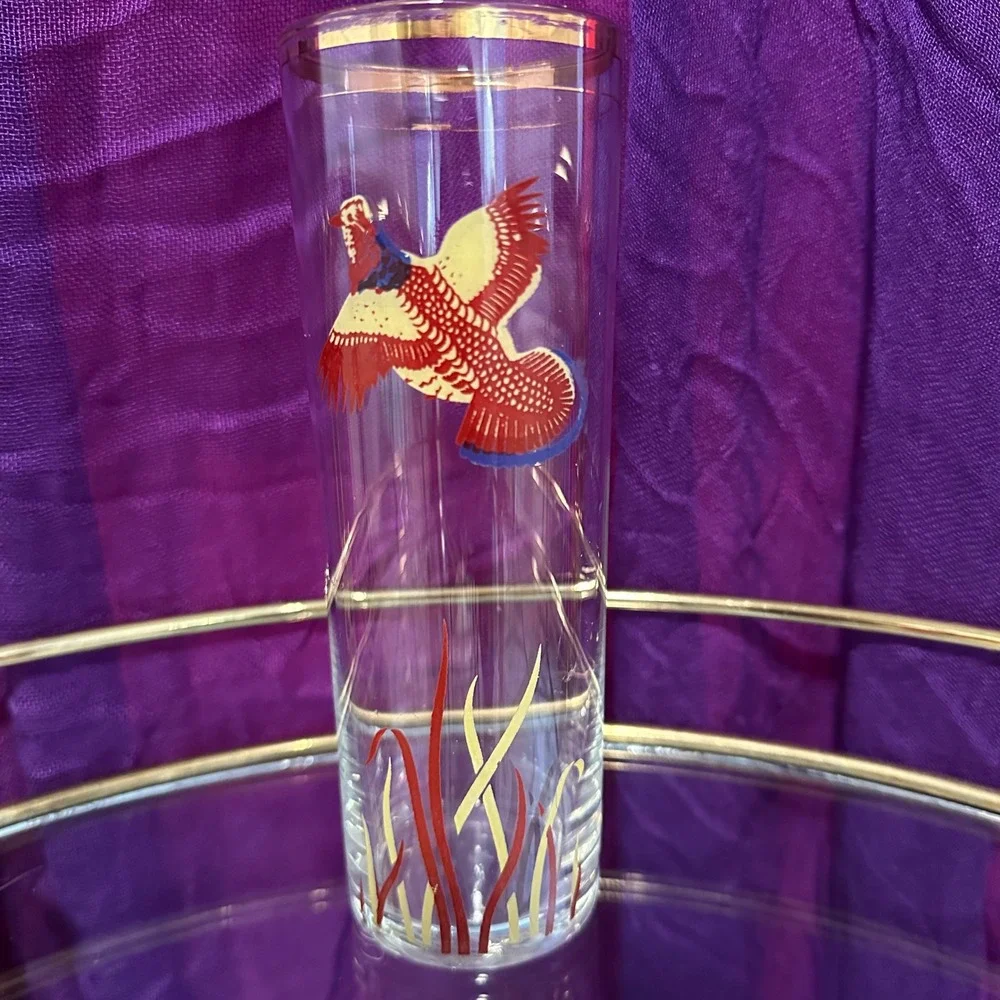 Vintage 1950s–1960s Pheasant Highball Glasses‎ Set of 2 Mid Century Fall Barware
